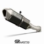 Exhaust for BMW R1200 R / RS 2015-2019 GRmoto Muffler Carbon