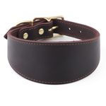 Snootiful Hound Leather Fishtail Collar | Sighthounds, Whippets, Greyhounds