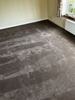 Brand New Luxury Carpet Offcut – Pure Elegance Pentland 16 – 300cm x 160cm