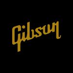 GIBSON STANDARD HEADSTOCK Self Adhesive Vinyl Decal x 2 - MORE COLOURS AVAILABLE