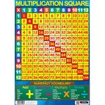 SUMBOX MULTIPLICATION SQUARE EDUCATIONAL X TIMES TABLES MATHS POSTER WALL CHART