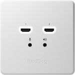BirdDog NDI Wallplate Dual Output