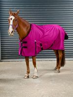 Turner Equestrian 600D Lightweight Waterproof Horse Turnout Rug 100g Fill