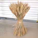 Bunch of Real Dried Wheat Stems - Sheaves Wedding Rustic Natural Flower