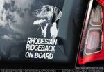 Rhodesian Ridgeback - Car Window Sticker - Dog on Board Sign Art Gift - TYP1