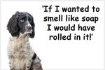  Springer Sprocker Spaniel Dog Funny Fridge Magnet Gift New Black and White