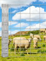 Stock Fencing – 1.5m x 50m Rolls Farm Sheep Cattle Fencing Net Mesh