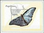 Beautiful block with butterfly Guinea butterfly papillon бабочка 5