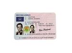 Del Boy Fun Replica Driving License