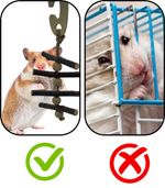 X10 Pack Hamster small pet gnawing pet Wooden chew Toys play & chew hanging toy