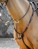 LeMieux Breastplate (D-Ring Attachment) & Removable Martingale Hunter 3 Point