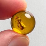 WASP SPHERE 11mm bead Burmese / Burmite amber fossil bead / 100% genuine
