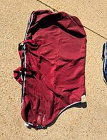 Premier Equine Buster Waffle Burgandy Rug 6’3”