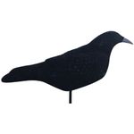 FLocked Crow Shell Decoy Magnum Size Extra Large Corvid Decoy