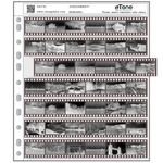 50 Sheets Acid-free Archival Storage Pages Sleeves Slide 35mm 135 Film Negative