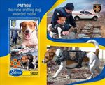 UKRAINE WAR PATRON Jack Russell/Bomb/Mine Dog MNH Stamp Sheet #3 (2022 Liberia)