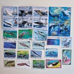 25 Different Whales on Stamps Collection