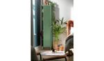 Stevie Tall 1 Door 4 Shelf Locker - Green