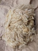 Wensleydale X Whitefaced Dartmoor Raw fleeces 2026 Shear