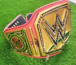 Money In The Bank 2025 Undisputed Championship Belt Replica 4MM ADULT free bag