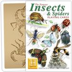 Heritage Insects and Spiders playing cards Entomology Arachnology Arachnid bugs
