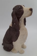 Sandicast Liver Springer Spaniel 