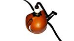 New Falconry Hood No Sew Dutch Style One Piece, Unstitched (Tan Colour)