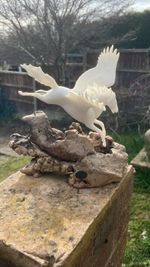 Rare Original John Perry Pegasus Sculpture Mythical Wooden Base Vintage Art #750