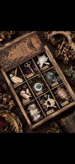 Curiosity Cabinet Oddities Box Gothic Witchy Collector Specimens