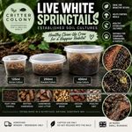 450ml Starter Live White Springtails 450ml - Soil Culture – Bioactive Clean 
