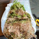 Fresh Welsh Sphagnum Moss Ideal For Wreaths and Baskets
