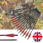 12X 14"/16" Crossbow Bolts Fiberglass Hunting Arrows Changeable Tips Flat Nocks