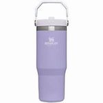 STANLEY Classic IceFlow Stainless Steel Tumbler with Straw, Vacuum Insulated