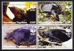Togo WWF Senegal Flapshell Turtle Block of 4 2006 MNH MI#3337-3340 Sc#2039a-d