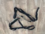 Horse lunge equipment