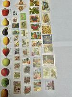 FRUIT/BERRIES 50 Postage Stamps Used Off Paper For Collecting And Craft Projects