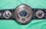 ROH World Heavyweight Championship Title Belt 2mm/Ring Of Honour Belt Free Bag