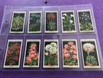 Flower Culture In Pots a full set of 50 original Wills cigarette cards  1925