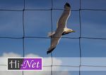 Garden Netting 75mm Strong Mesh (3") Heavy Duty Knotted Anti Bird Net Seagull