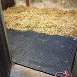 **12 Mat Special** 12 x Stable Horse Floor Matting EVA 24mm EVA Cushioned Mats