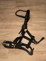 Cob Soft Web Lunging Cavesson - Free Post