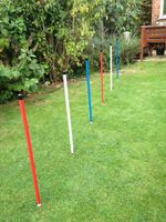 Dog Agility Coloured 6 Pole Basic Weave by Jessejump Agility