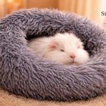 Guinea Pig Bed, ferret, hedgehog, rabbit, chipmunk. Super soft, Washable, water