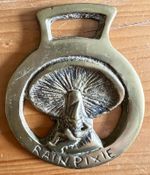 Horse Brass Rain Pixie 8.5cm x 7cm