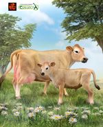 Jersey Cow and Calf Cattle Farm Toy Model Figures by CollectA New