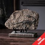 Real Sinosauropteryx Fossil 130M Year Cretaceous Feathered Dinosaur