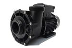 NEW LX LP200 Hot Tub Spa Pump - 2HP Single Speed