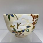 Japanese Matcha Tea Bowl Chawan Iroe Nanten-ga w/Box Terao Tozo