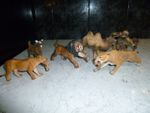 PAPO ANIMALS RARE SMILODON SABER TOOTH TIGER, AND SABER TOOTH ,CAMEL DEER + MORE