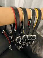 Head Collar Mini Shetland top Black Leather  In Red Gold  Green Yellow